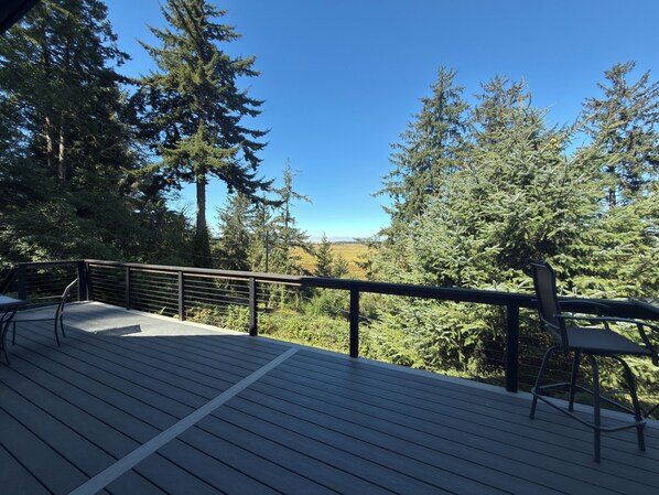 A wooden deck with metal railings, overlooking a forested area and a distant view of the landscape.