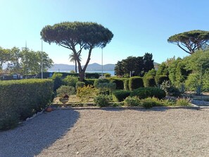 A landscaped garden with neatly trimmed hedges, a gravel path, and a large tree in the center. - Villa with pool & view of the Gulf of Saint-Tropez (Saint-Tropez)