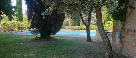 Alberca