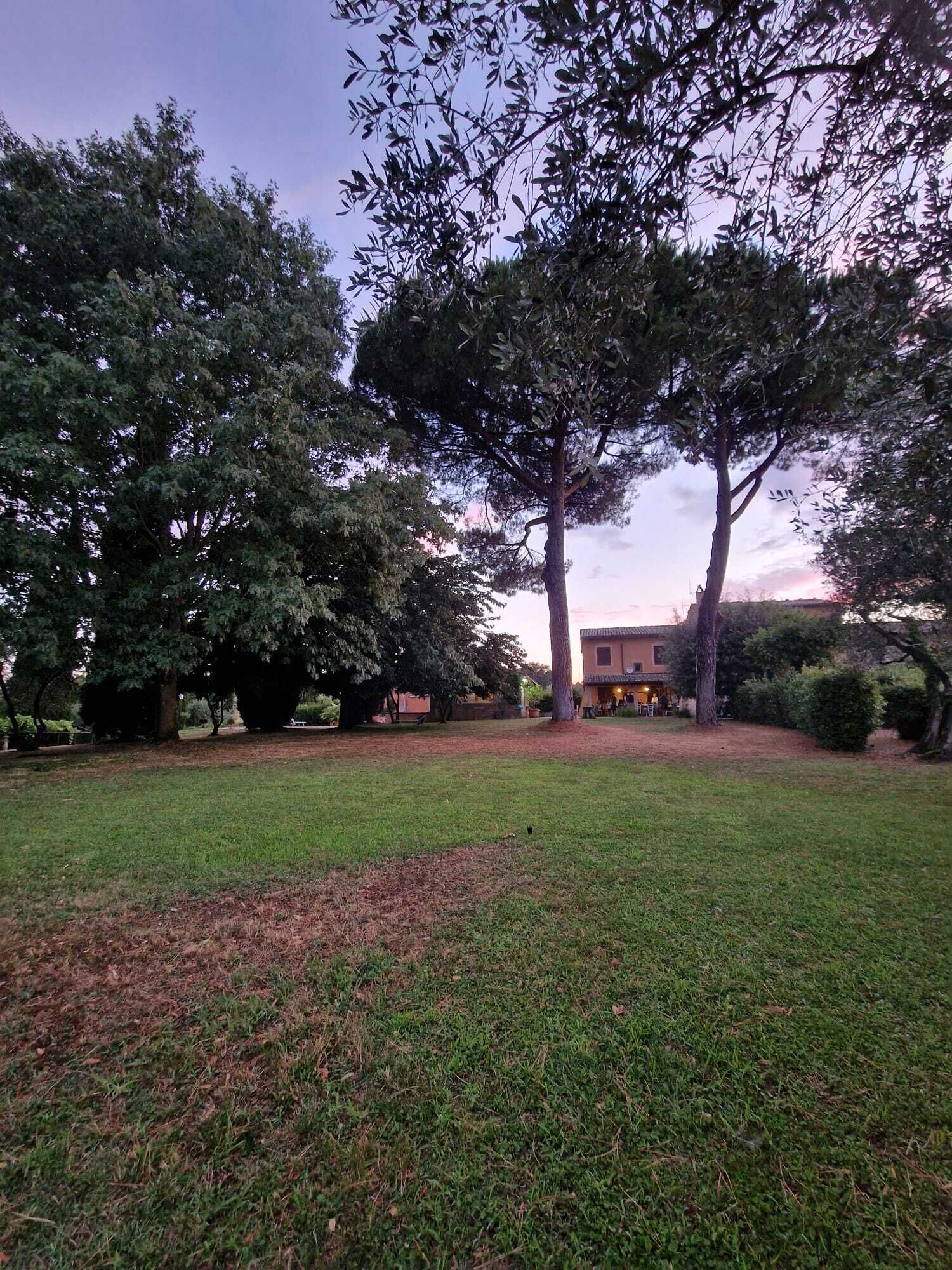 A grassy outdoor area with trees and a building in the background.