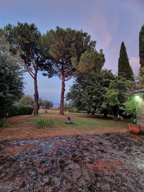 A garden with mature trees, a stone pathway, and a small pond. - A charming historic farmhouse, 10 minutes from Orvieto, with a garden and private pool, (Umbria)