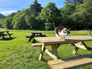 Ein Picknicktisch in einer grünen Wiese, im Hintergrund Bäume.