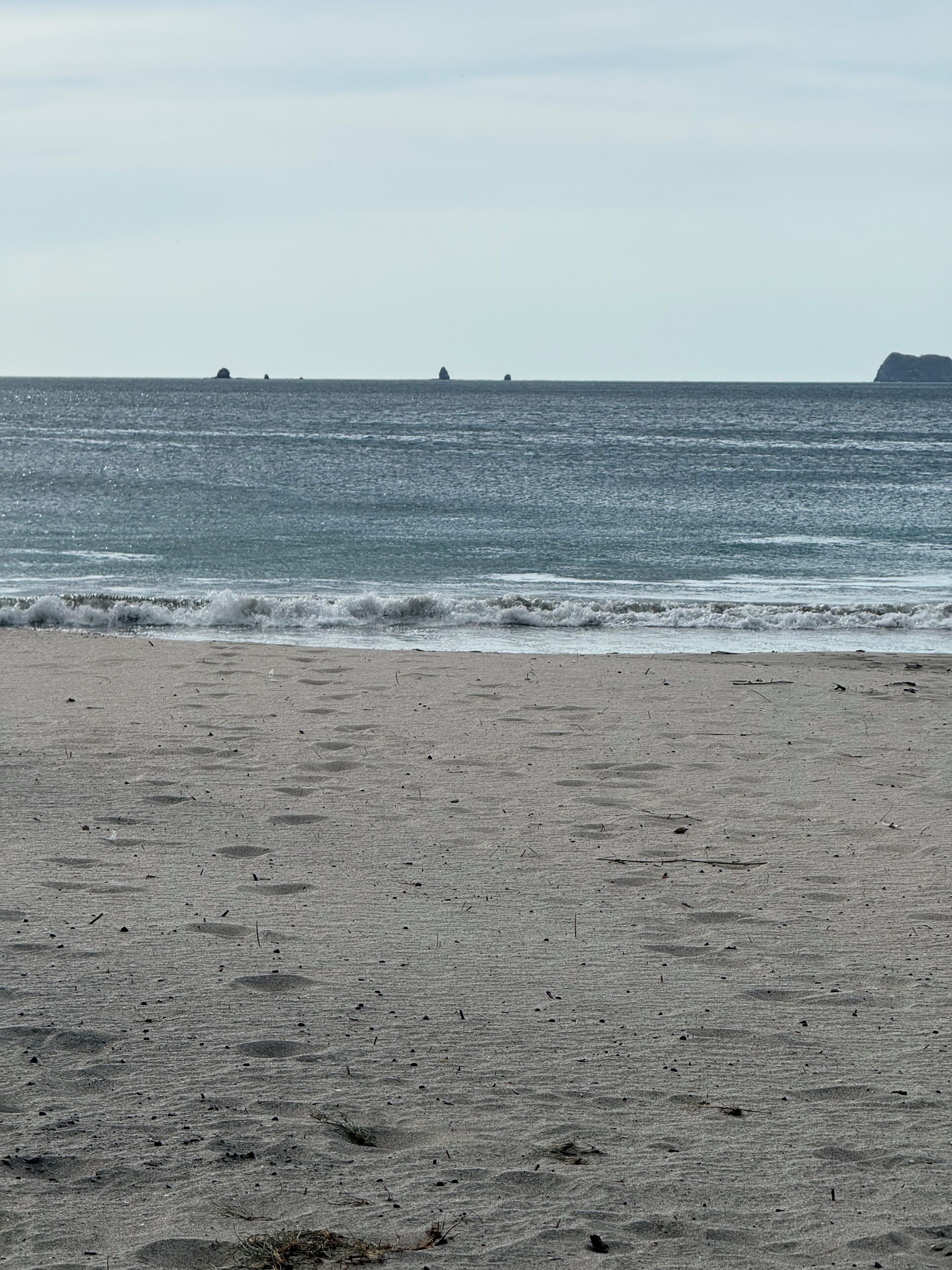 A beach with a sandy shore and calm sea.