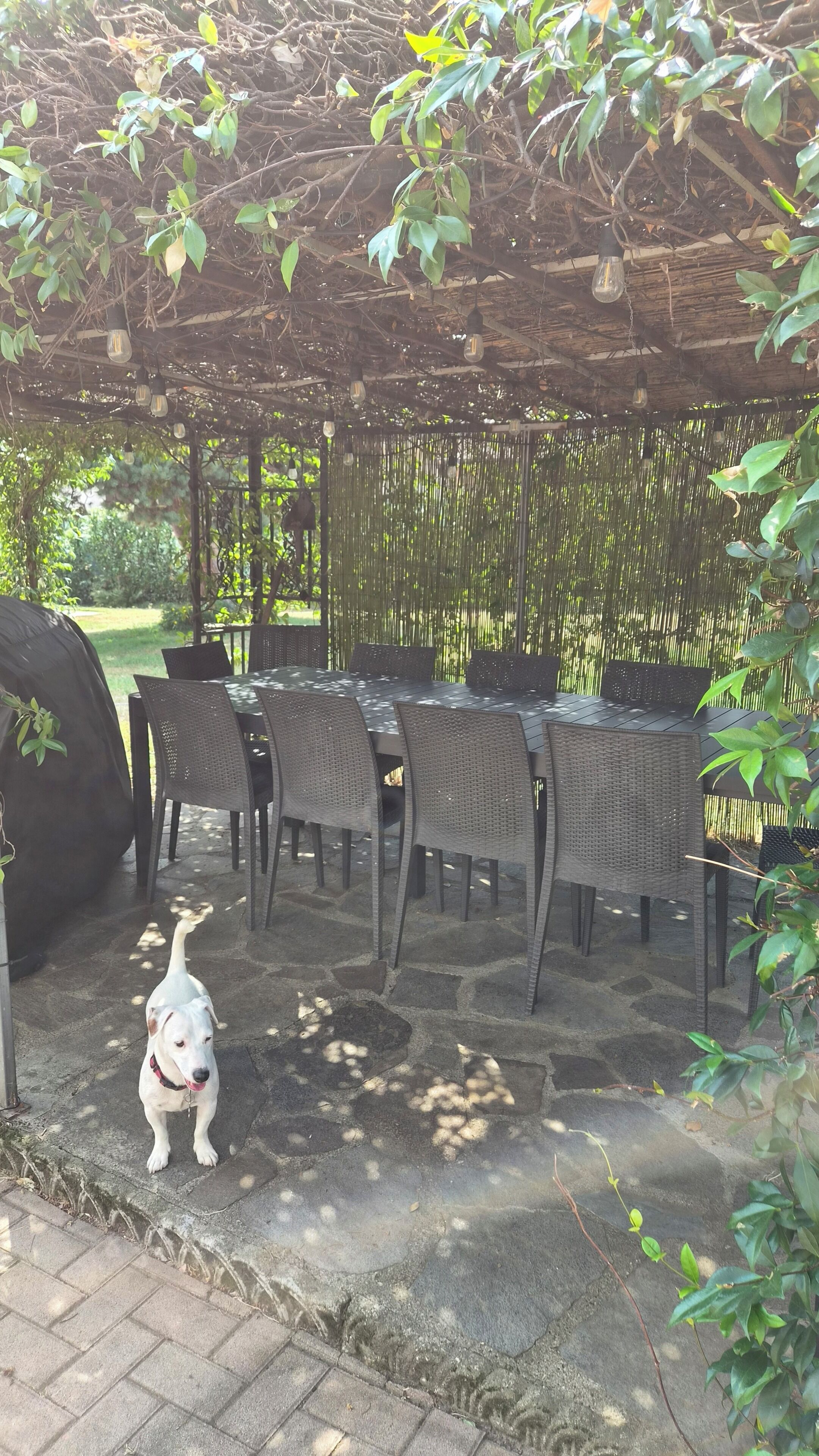 An outdoor patio with a covered dining area, stone flooring, and a dog.