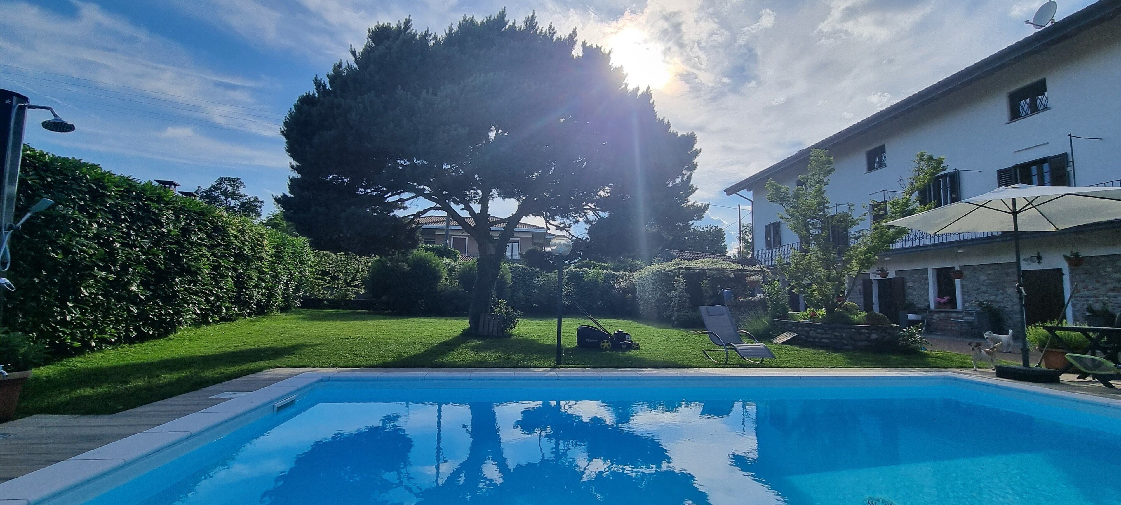 A swimming pool with a lawn and trees in the background.