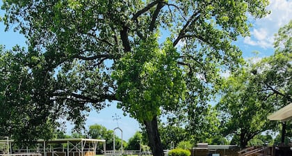 Enjoy the best of country charm and city convenience at this Fort Worth Retreat!