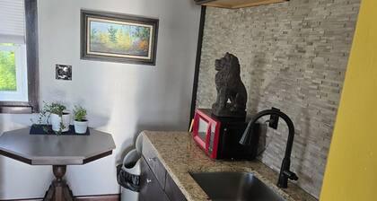 Cozy 1-bedroom cabin-ALL SPORTS SUGDEN LAKE-White Lake, MI. Alpine.Diamond@Rough