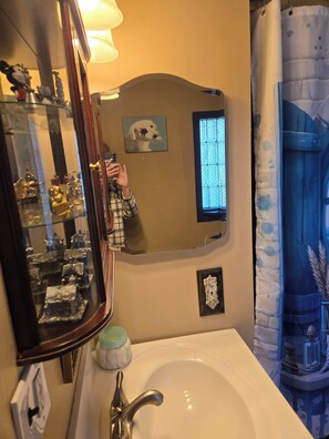 A bathroom with a mirror, sink, and a decorative shower curtain. - Cozy 1-bedroom cabin in amazing White Lake with AC on ALL SPORTS SUGDEN LAKE (White Lake)