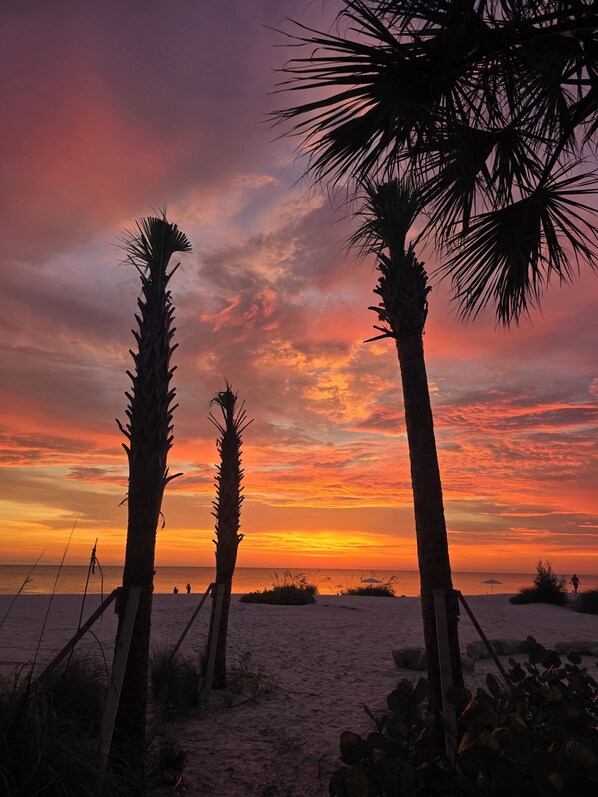 A beach scene with palm trees and a sunset.