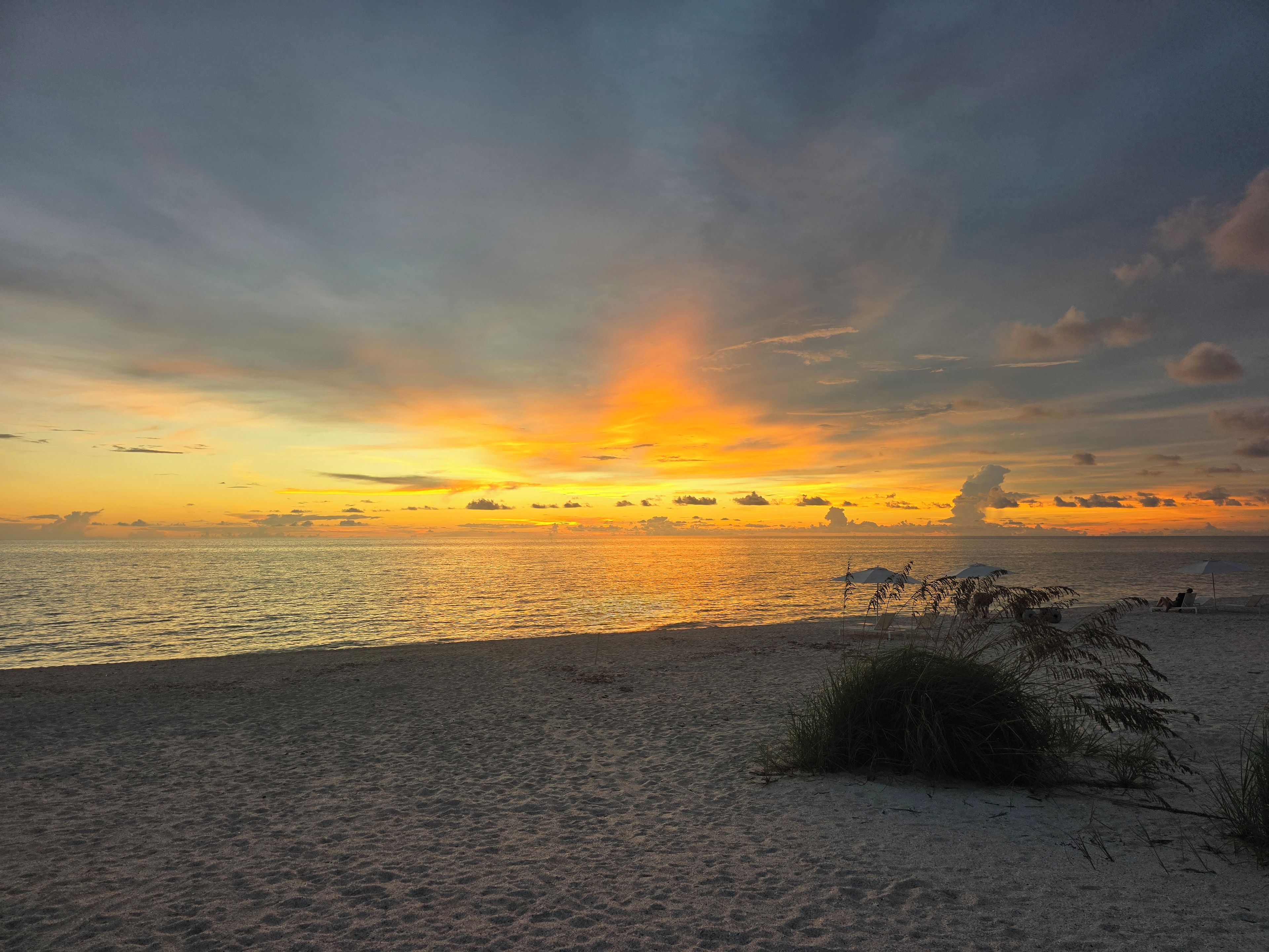 A beach with a sunset view, sandy shore, and some vegetation.