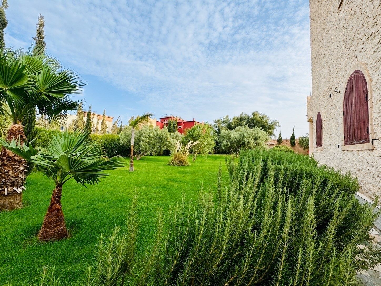 Un jardin bien entretenu, avec une grande variété de plantes, et un bâtiment doté de fenêtres en arc de cercle.
