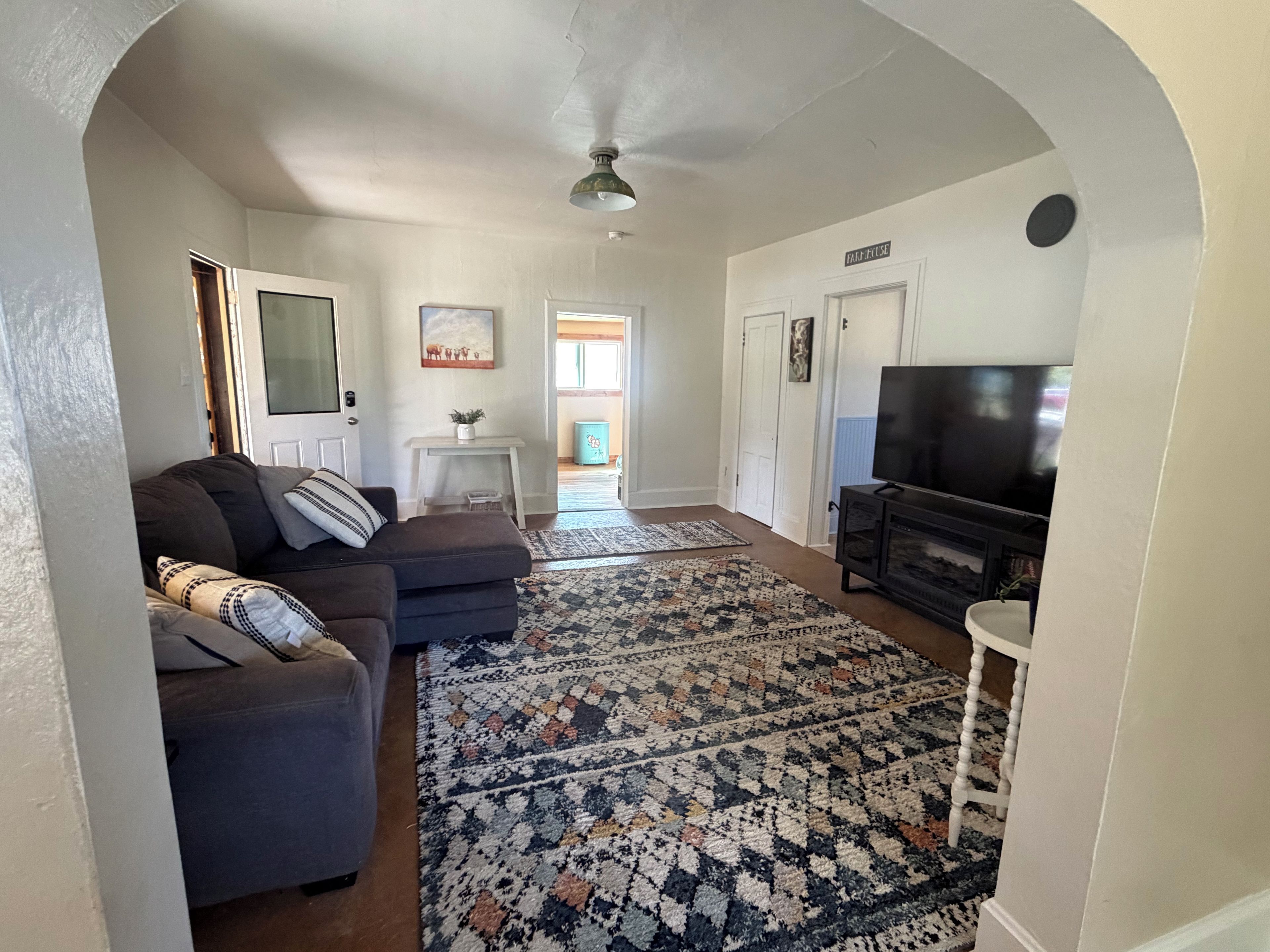 A living room with a sofa, a television, and a patterned rug.