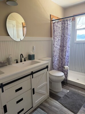 A bathroom with a white sink, a toilet, a shower curtain, and a mirror. - Wonderful 2-bedroom farmhouse in Salida.  Located @  Historic Hutchinson Ranch (Salida)