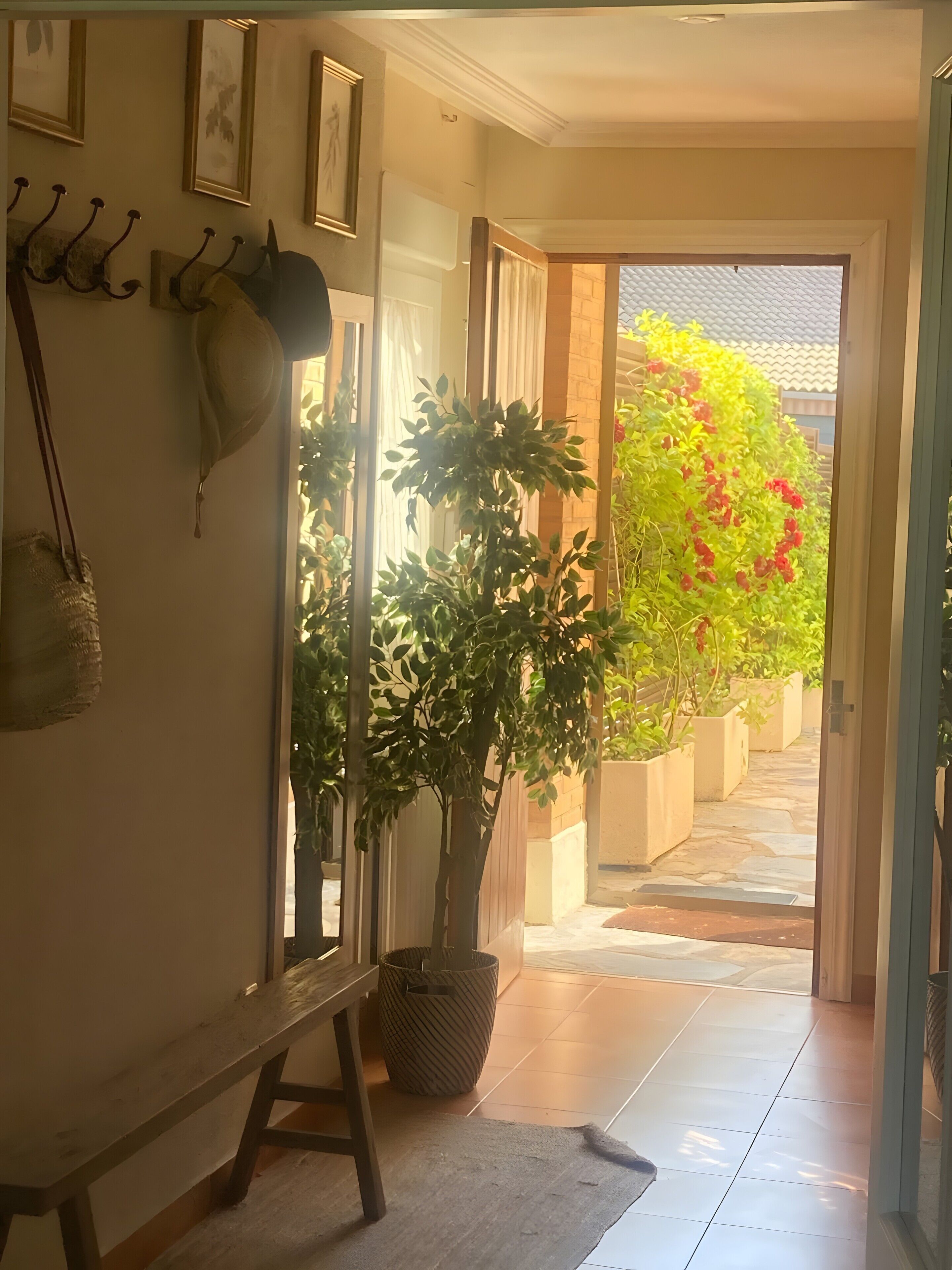 Un couloir avec un banc en bois, une plante en pot et une porte donnant sur l’extérieur.
