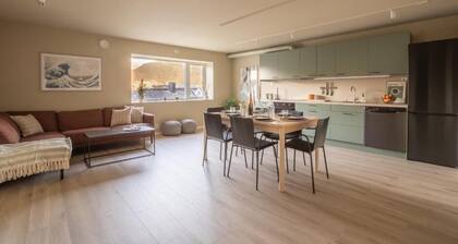 Luxury top floor apartment