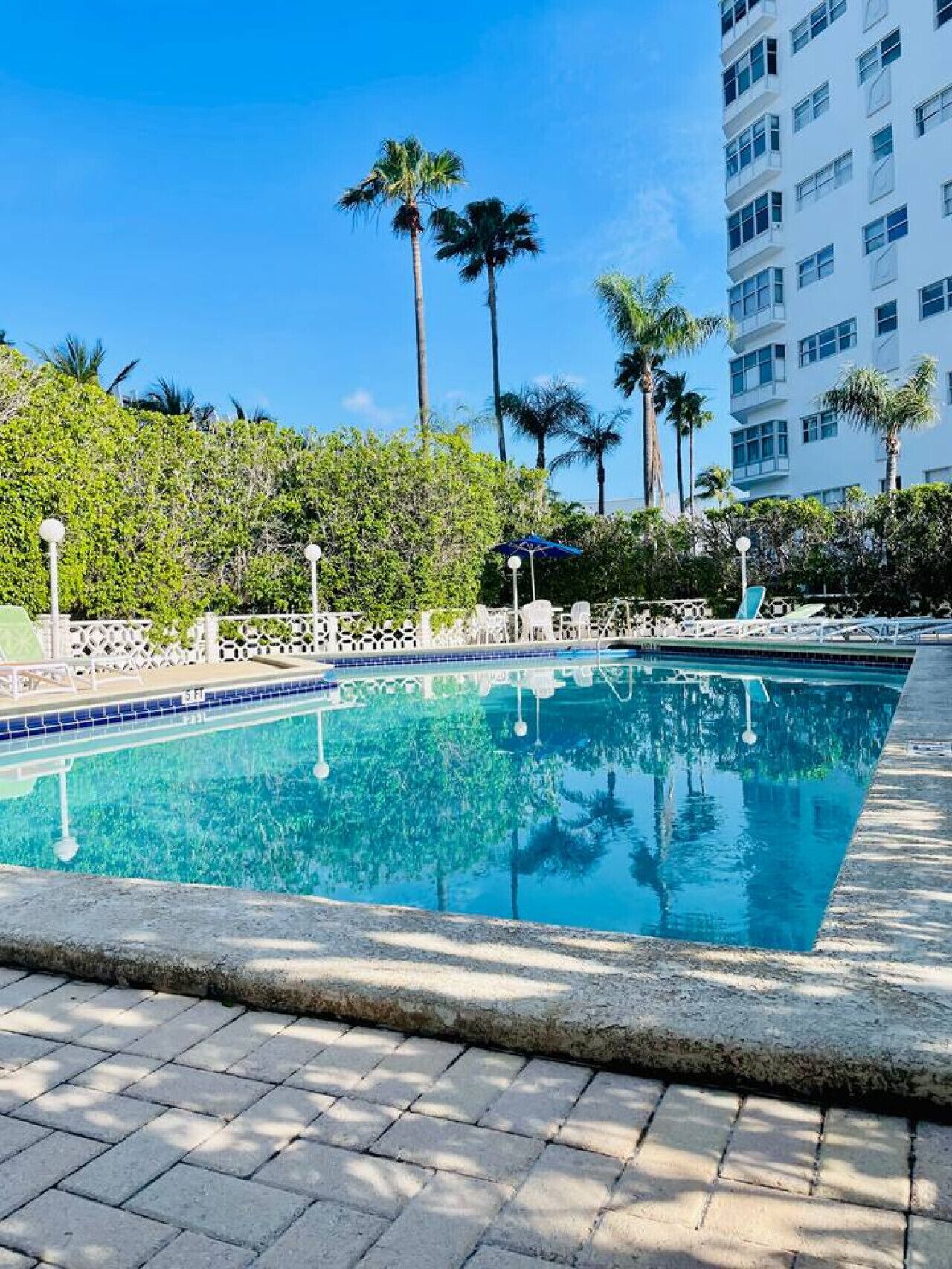 Una piscina con sillas de descanso y sombrillas, rodeada de palmeras y un edificio al fondo.