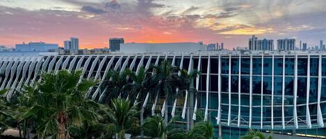 Un edificio moderno con una fachada curva distintiva y una calle bordeada de palmeras al frente.