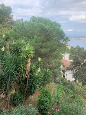 A coastal landscape with dense greenery and a view of a coastal town. - Charming apartment with views of the sea and mountains (Roses)