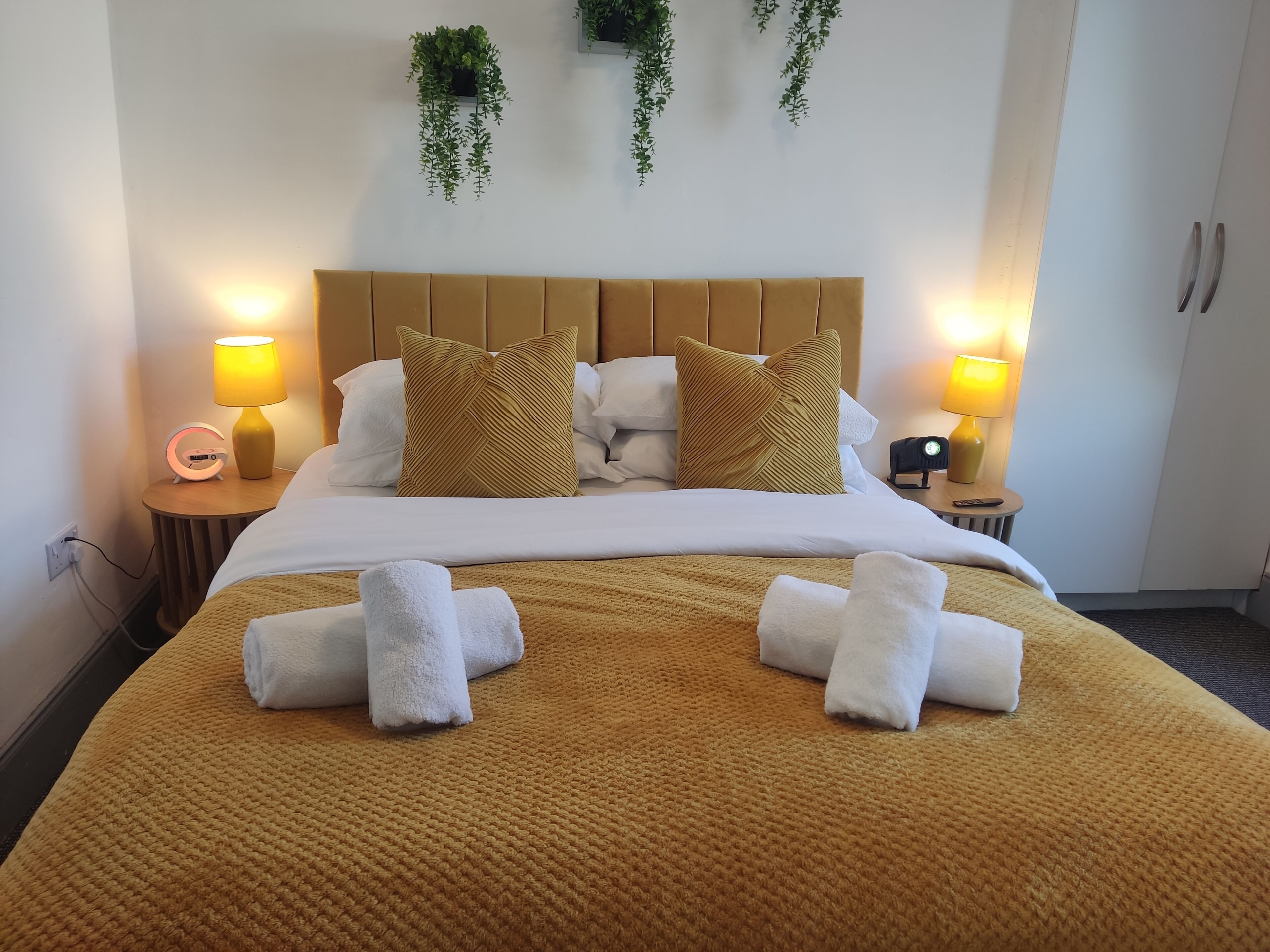A hotel room with a bed, two bedside tables, a nightstand, a lamp, a clock, and a wall-mounted plant.