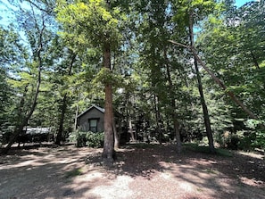 A cabin surrounded by dense forest, with a dirt path leading to it. - Everly House | Waterfall + Private Trails (Monteagle)
