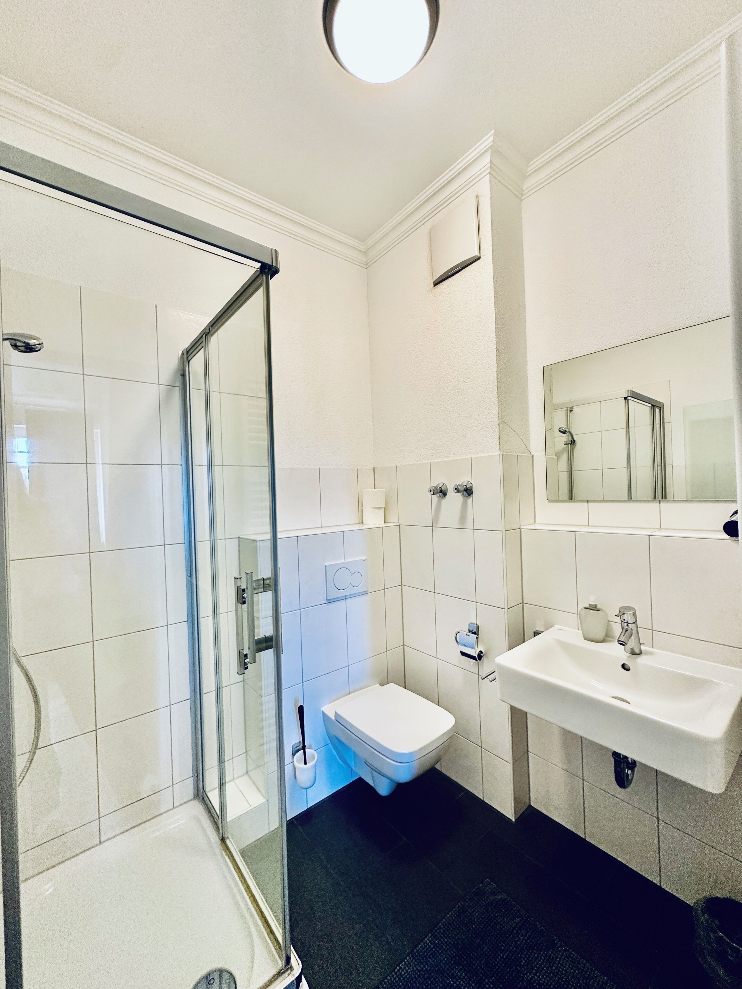 Ein Badezimmer mit einer Duschkabine, einer weißen Toilette und einem Waschbecken mit Spiegel darüber.