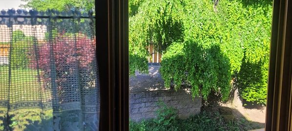 A view through a window with a brick wall and greenery outside.