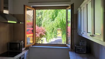 A kitchen with a view of a garden through an open door.