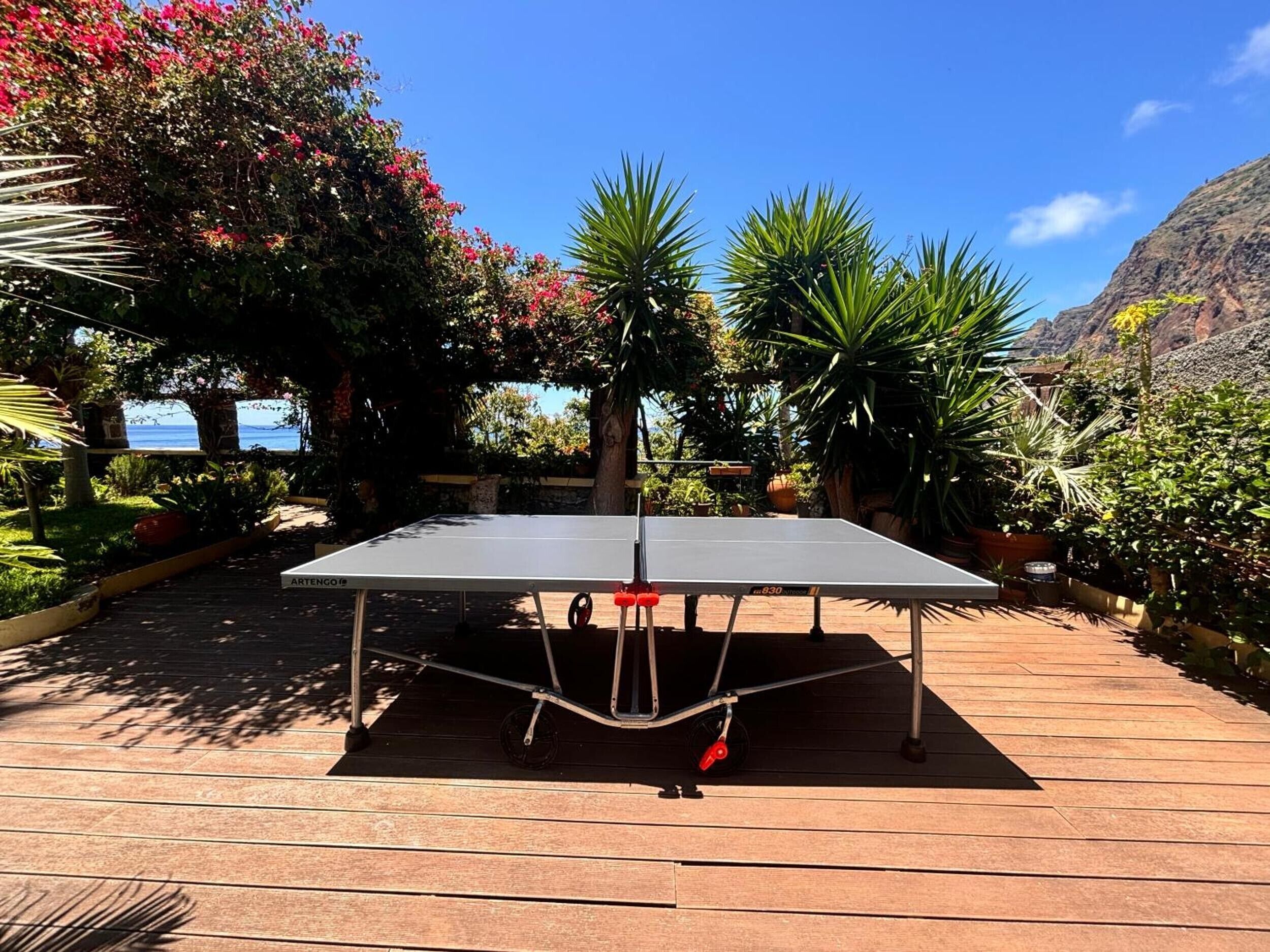 Mesa de pingue-pongue em ambiente externo, com deck de madeira, cercada por plantas e montanhas ao fundo.