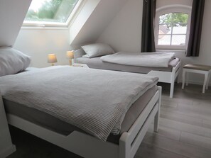 A bedroom with two beds, a skylight, and a view of the outside. - NEW! Eisenhower's Cozy Nest (Aurich)
