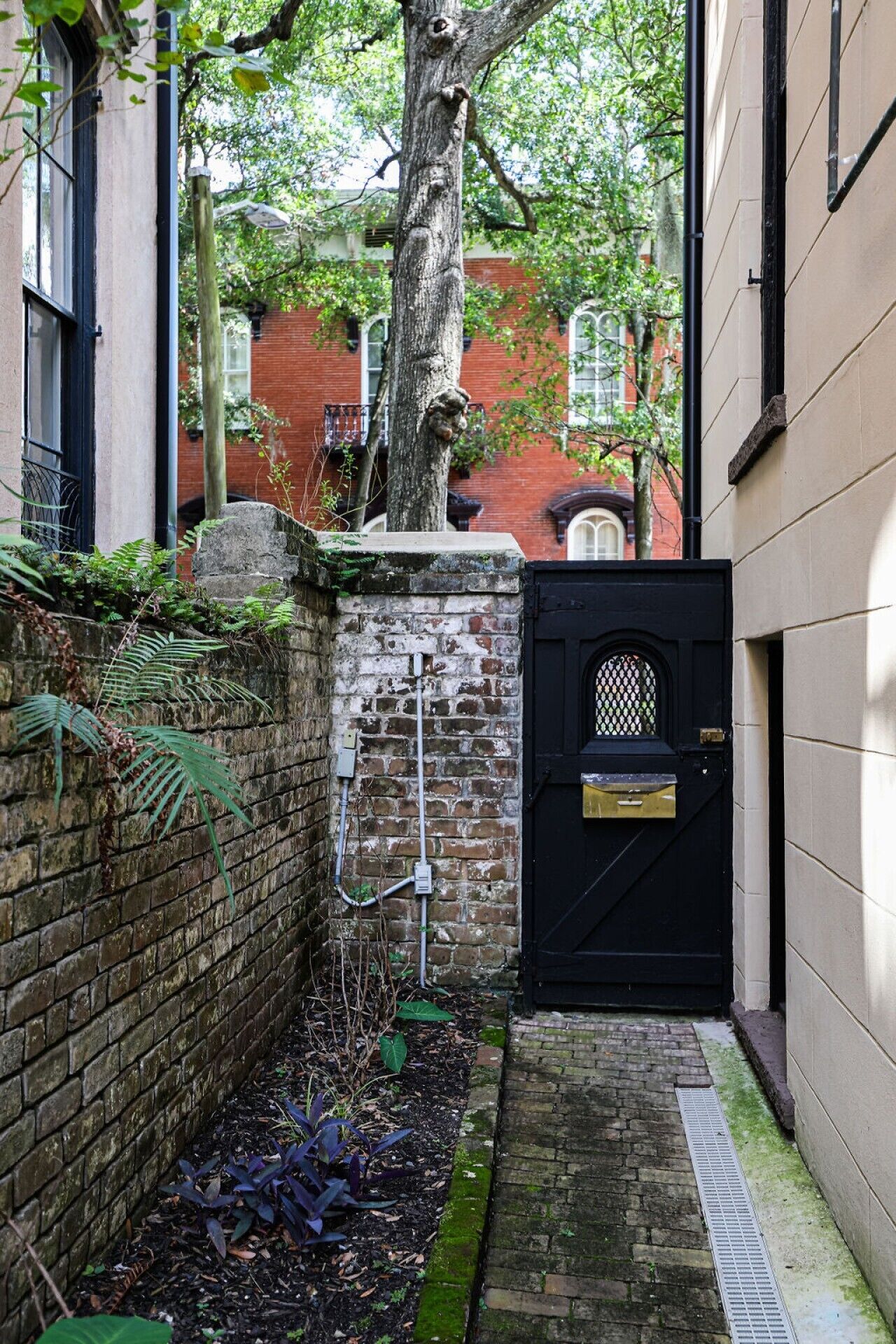 A narrow alleyway with a brick wall, a metal gate, and a tree.