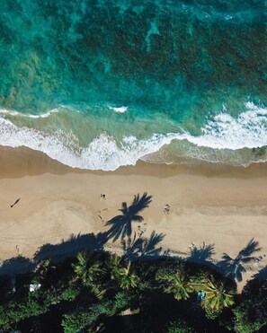 Ein Strand mit klarem türkisblauem Wasser, Sandstrand und Palmen.