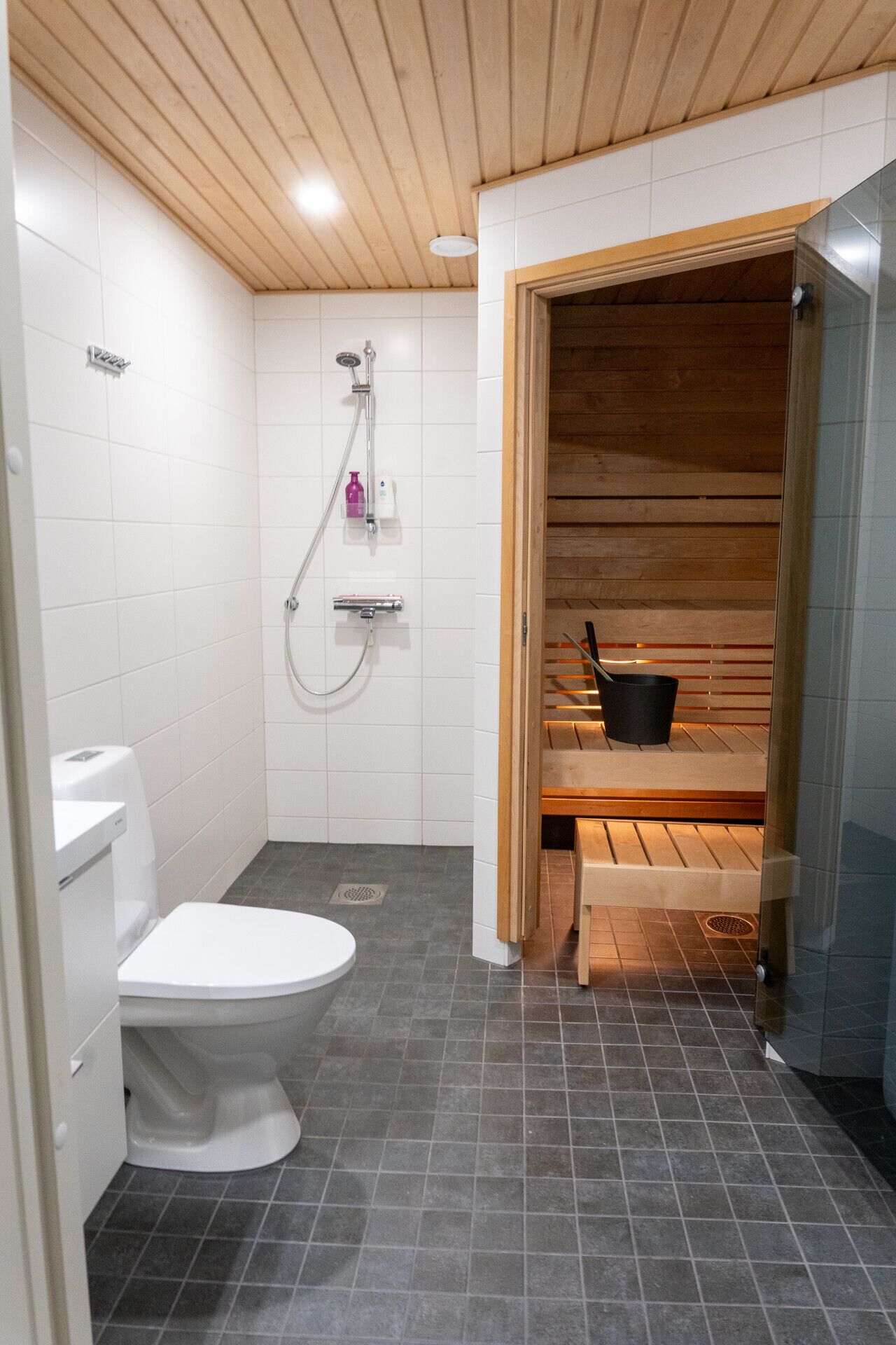 Kylpyhuone, jossa on wc, suihku ja sauna.