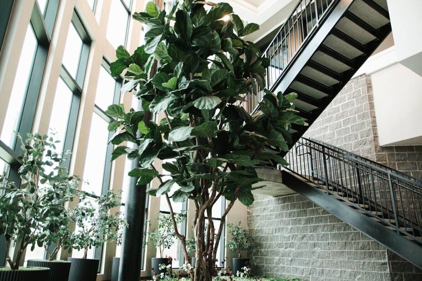 A multi-level indoor space with a staircase, large windows, and indoor plants.
