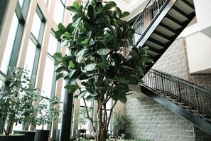 A large indoor plant in a modern building with a staircase and stone walls. - Downtown Houston Skyline Stay, Steps to Daikin Park F (Houston)