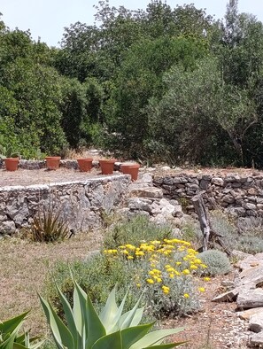 A garden with various plants and a stone wall.