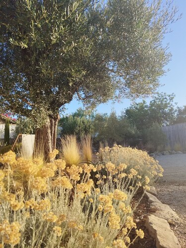 Vrbo Property
