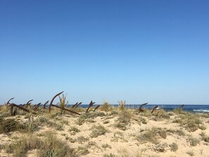 A beach with sand dunes and a clear blue sky.