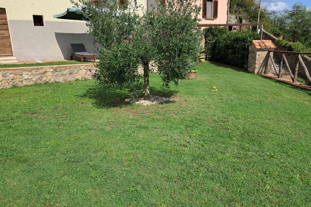 A well-maintained lawn with a small tree and a stone wall.