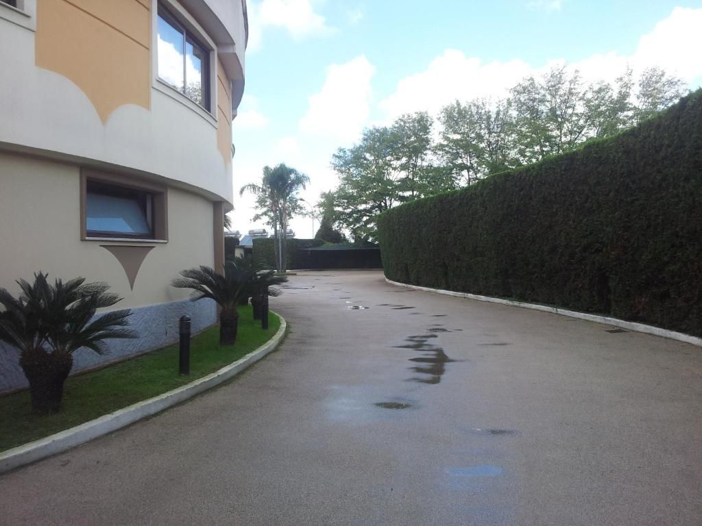 Un camino pavimentado que conduce a un edificio con fachada curva, bordeado por un seto cuidado y pequeñas macetas.