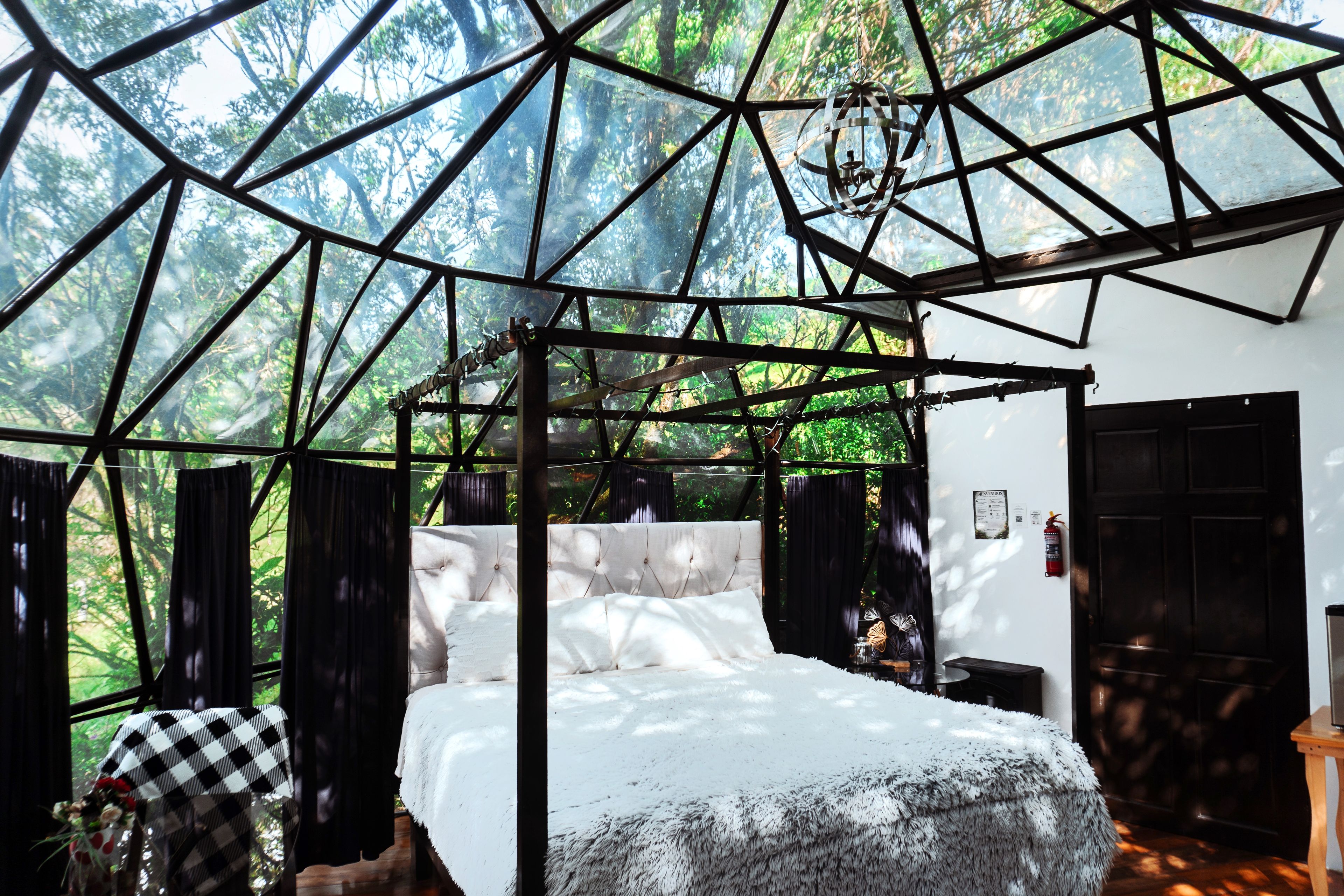 A room with a bed, a chandelier, and a view of the forest through a geometric ceiling structure.