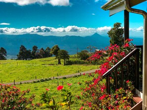 A view from a balcony with a railing, overlooking a green field with a fence, trees, and a mountain range in the distance. - Hotel San Vicente Hideaway (Quesada)