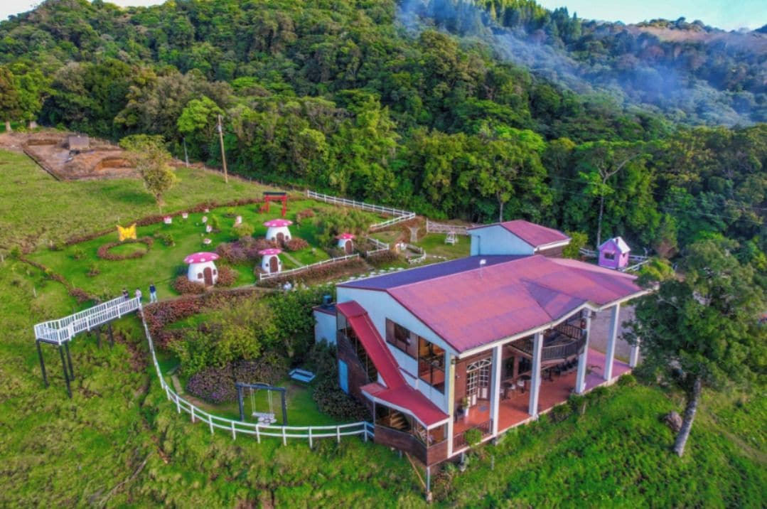 Une grande maison avec un toit rouge, entourée d’une végétation luxuriante et d’une clôture blanche.