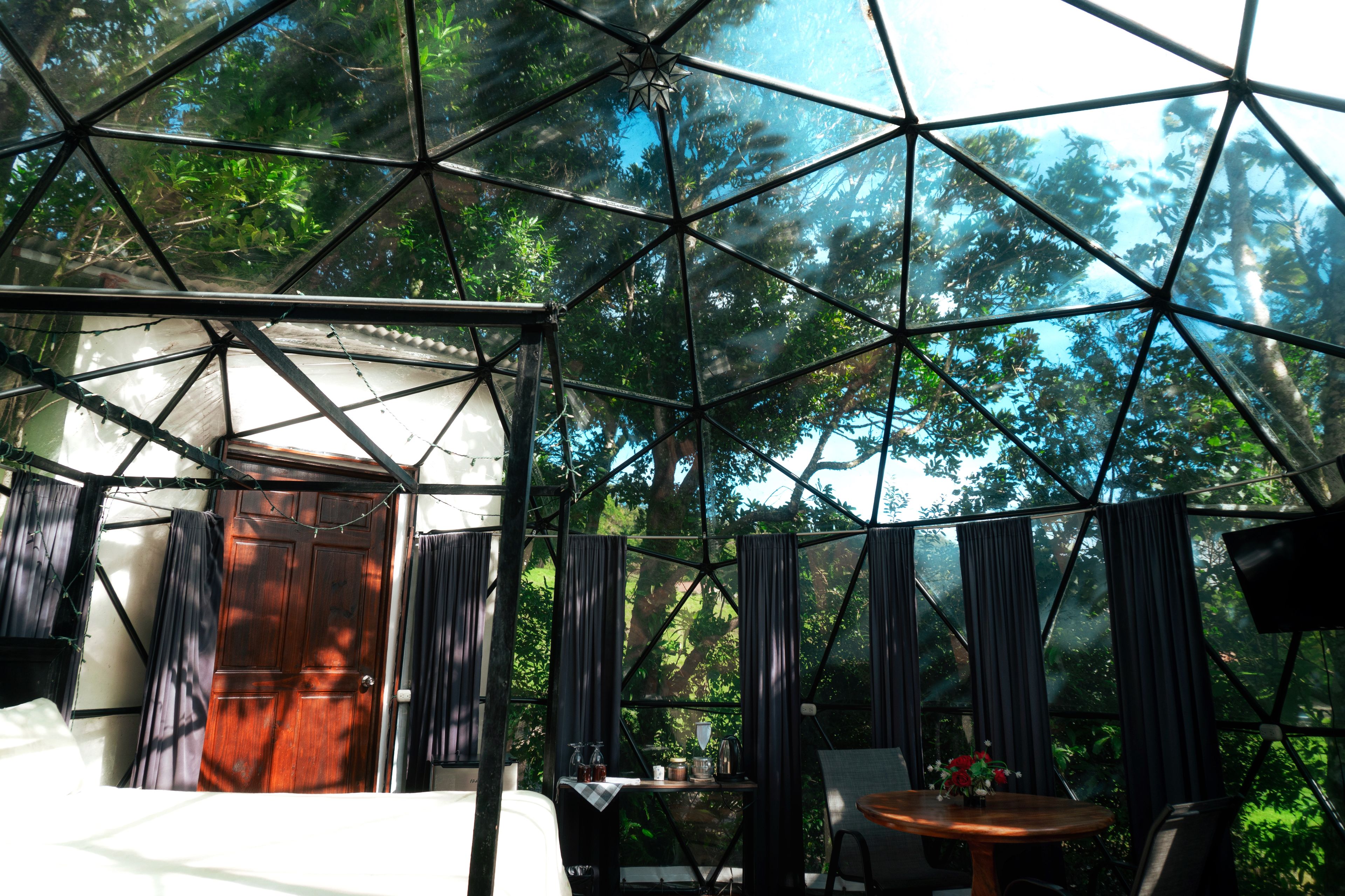 A geodesic dome structure with a bed, table, and chairs inside, surrounded by lush greenery.