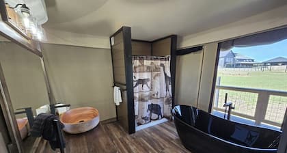 Zebra Luxury Tent #6