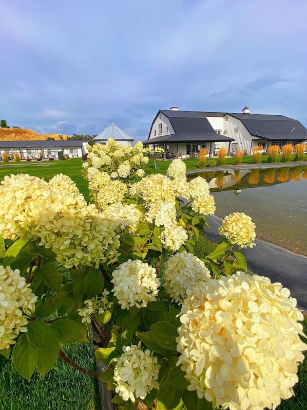 A large building with a dark roof and white walls, surrounded by a grassy area and a body of water.