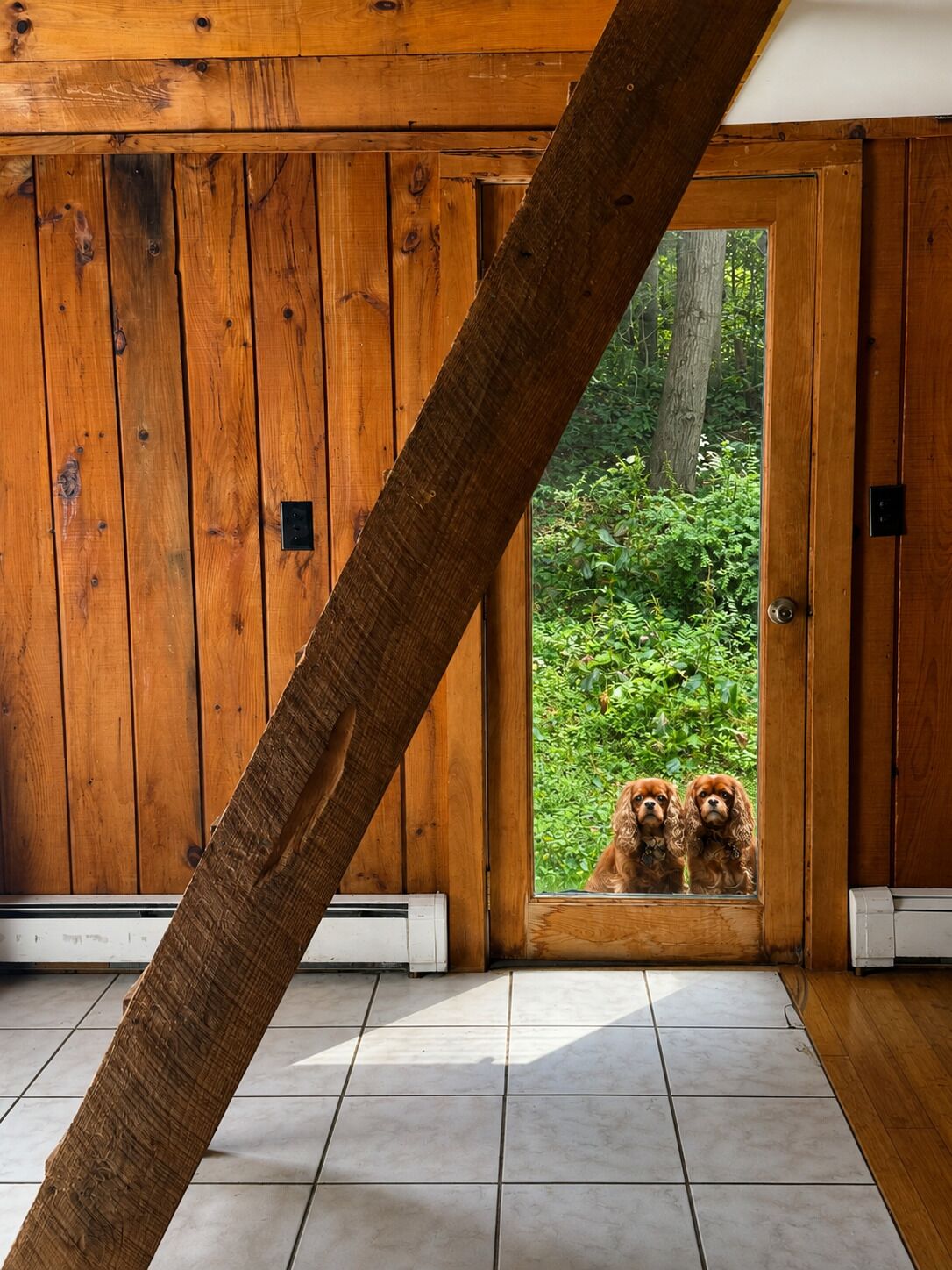 A wooden interior with a door leading to a garden.