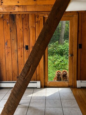 A wooden interior with a door leading to a garden.
