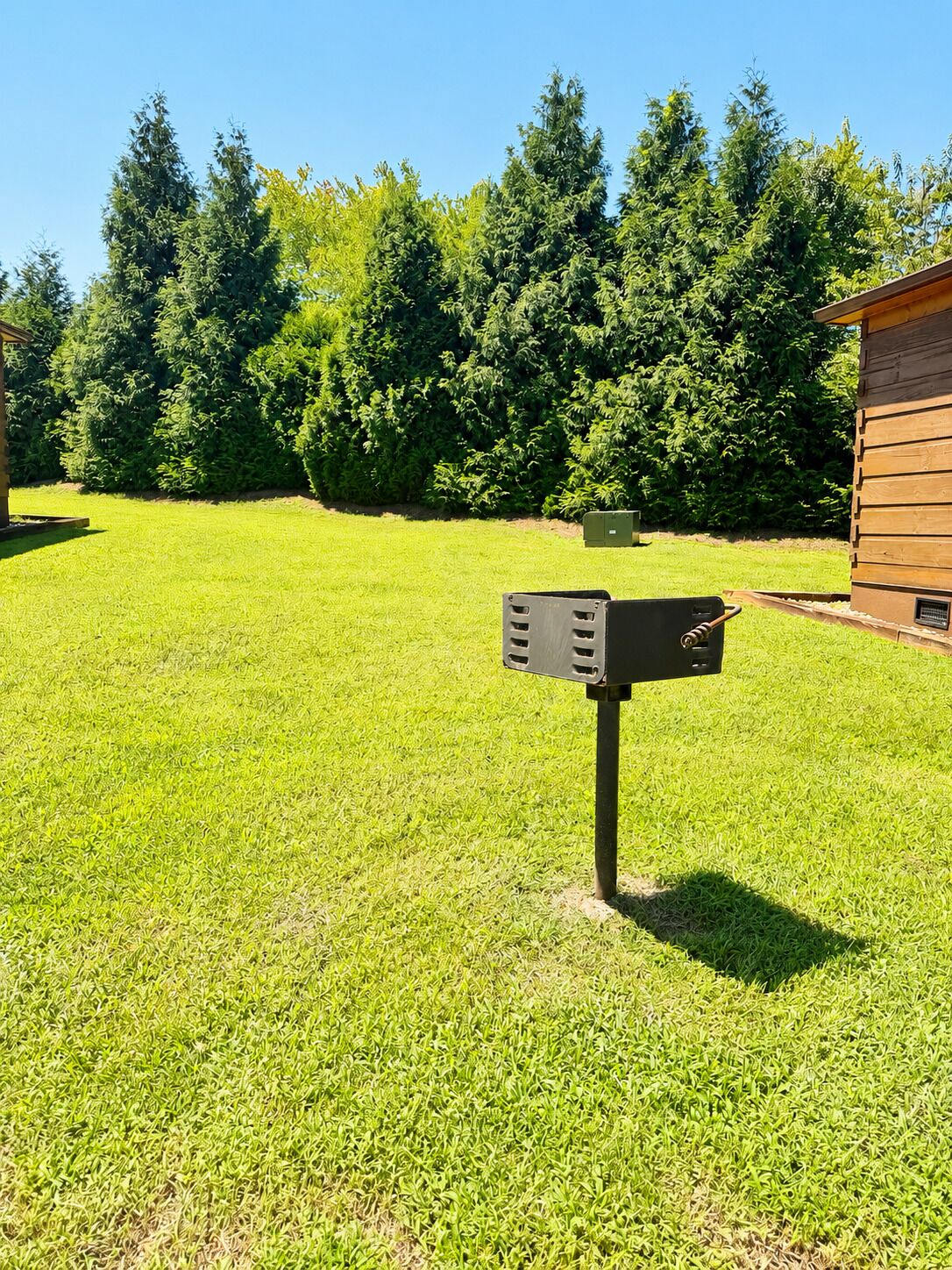 Une zone herbeuse avec une boîte aux lettres et une structure en bois en arrière-plan.