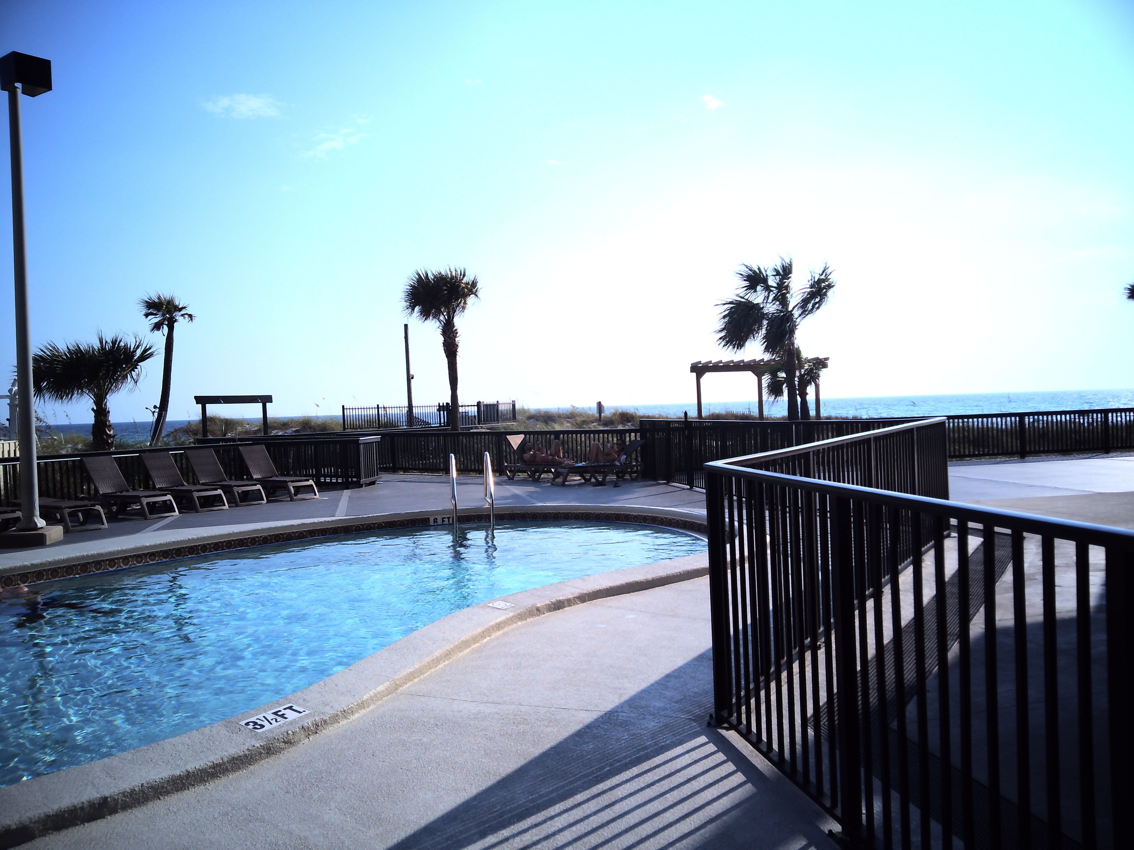 A pool area with lounge chairs, a palm tree, and a view of the ocean.