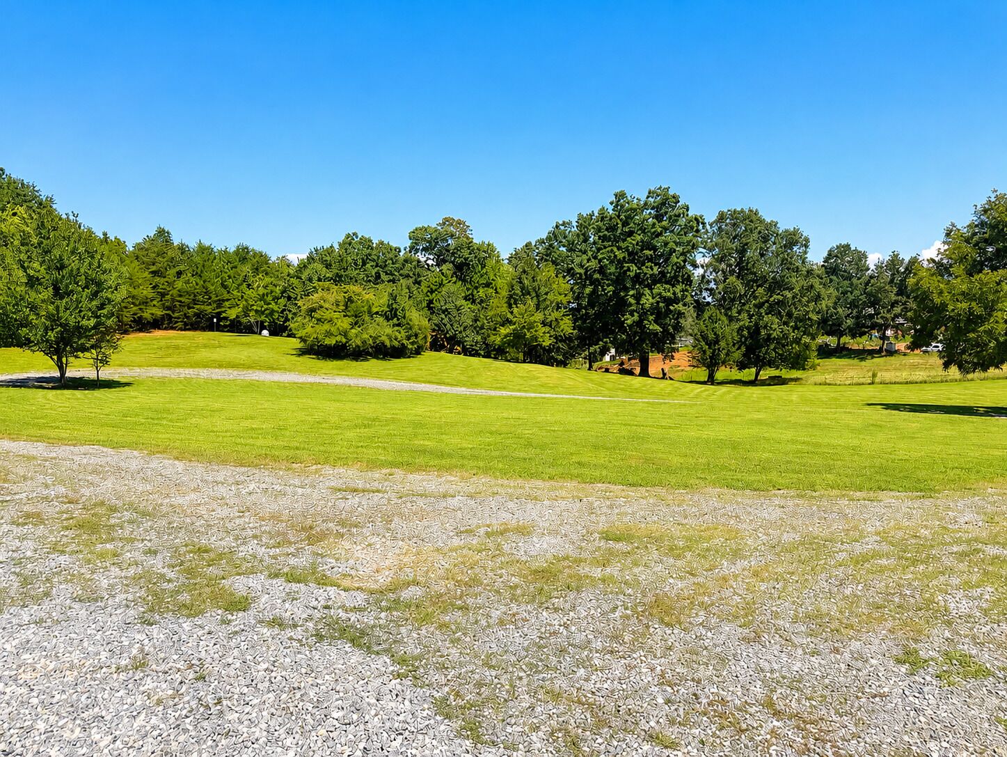 A grassy field with trees and a gravel path.